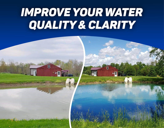 Crystal Blue Lake & Pond Colorant