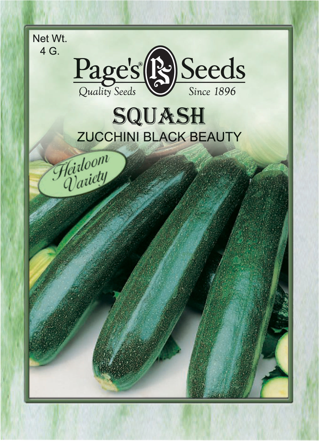 Zucchini Squash