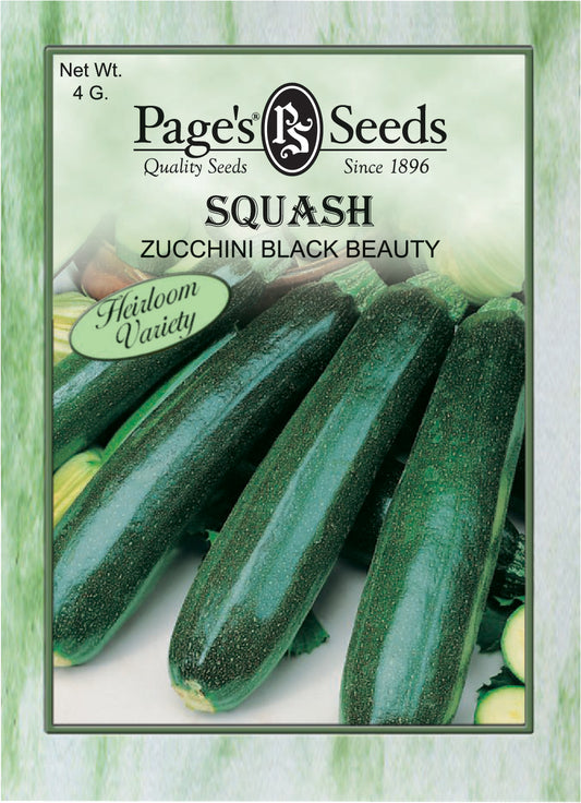 Zucchini Squash
