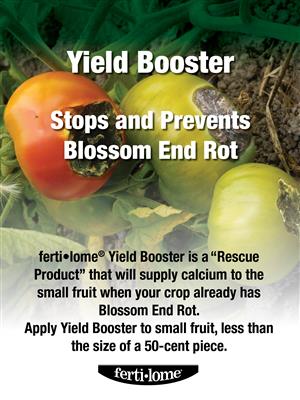 FertiLome Yield Booster Concentrate