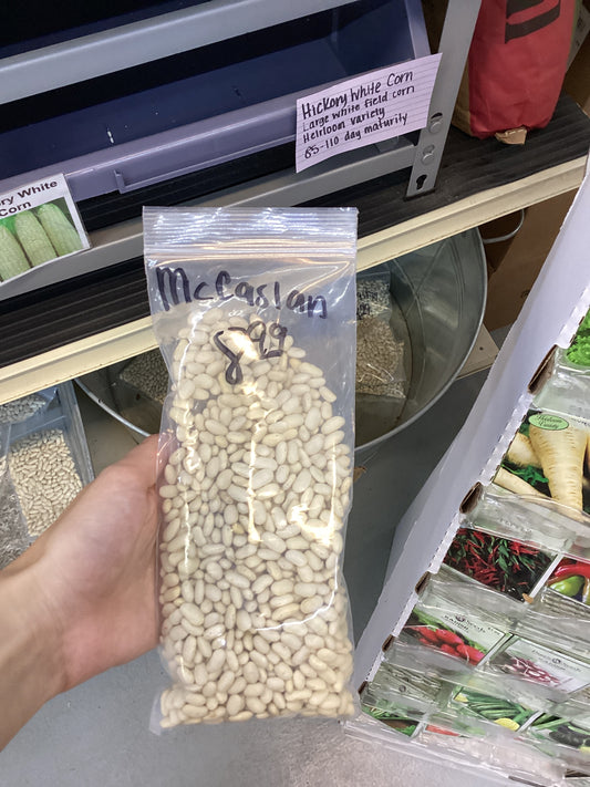 McCaslan Pole Bean