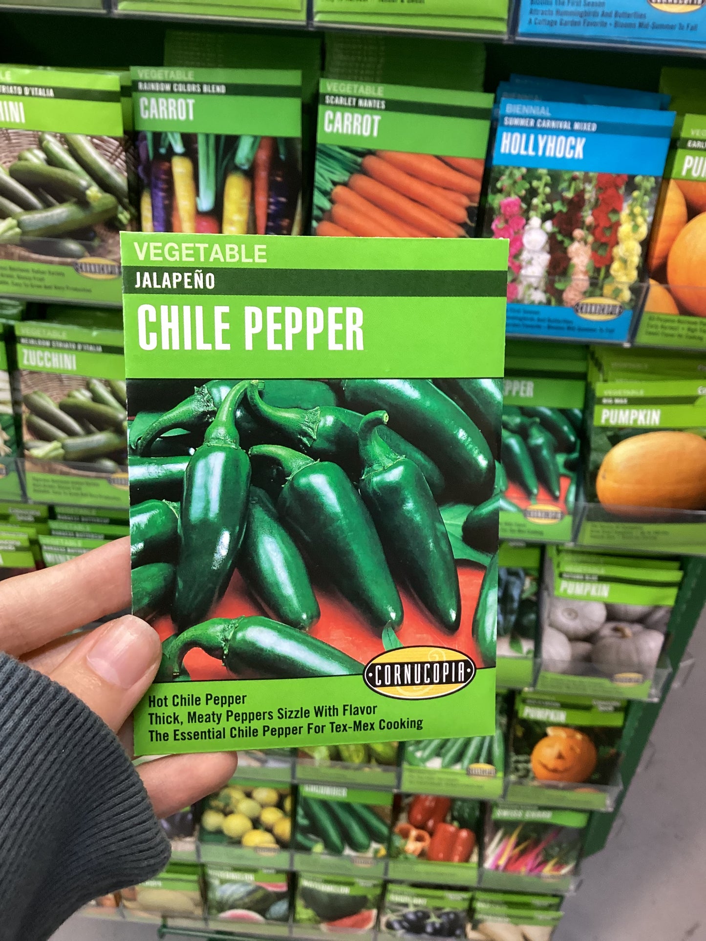 Jalapeño Chile Pepper