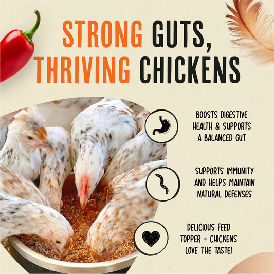 Flock Armor | Daily Chicken Dewormer | Flock Gut Support: 3-7 Birds (1lb supply)