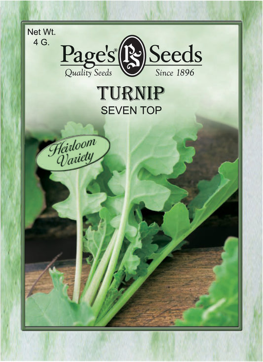 Turnip