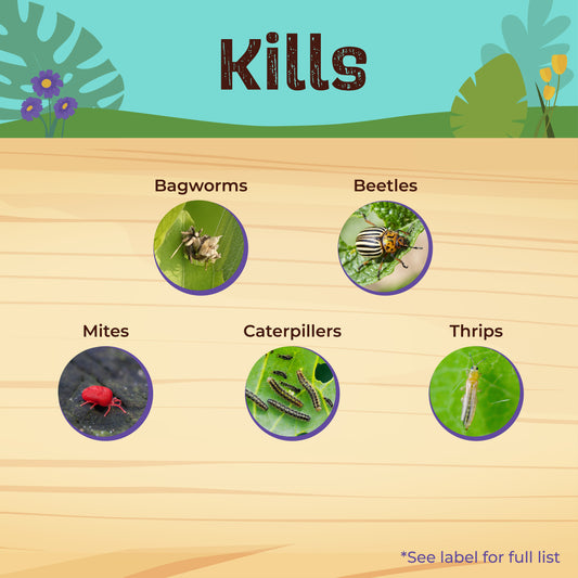 Captain Jacks Deadbug Brew RTU Spray ORGANIC