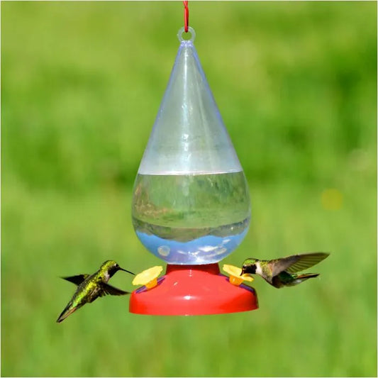 Perky-Pet Dew Drop Plastic Hummingbird Feeder