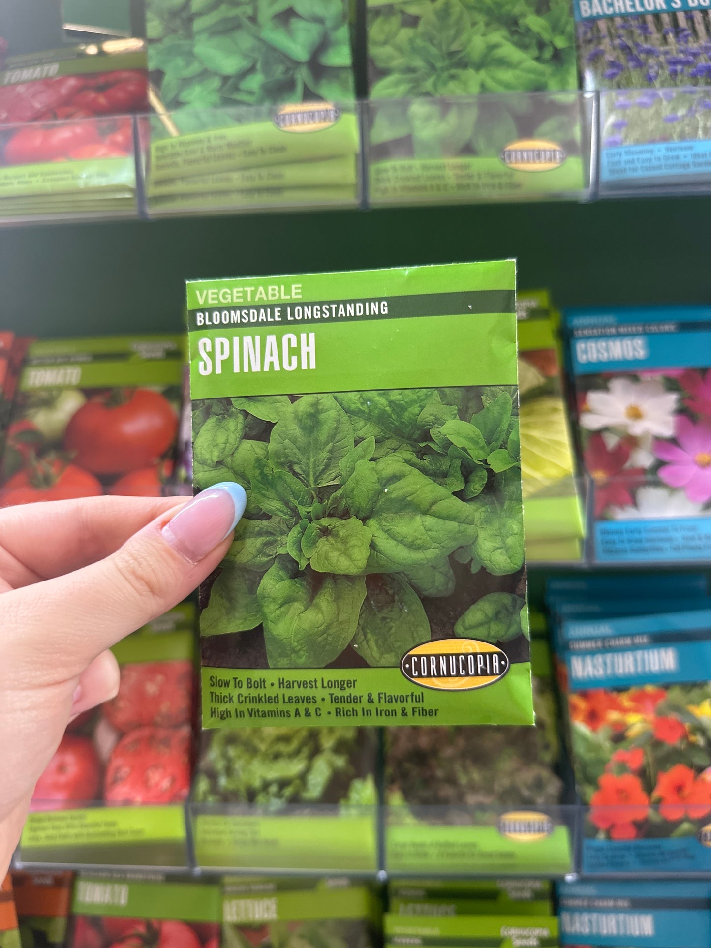 Bloomsdale Longstanding Spinach