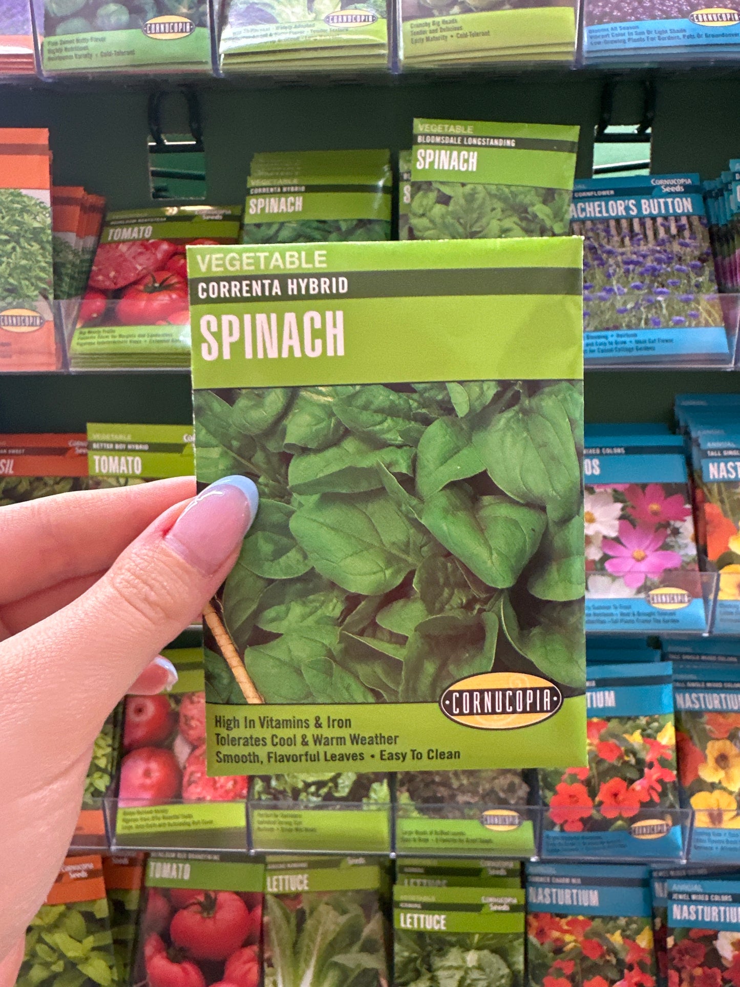 Correnta Hybrid Spinach