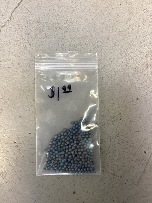 Cilantro Coriander Seed