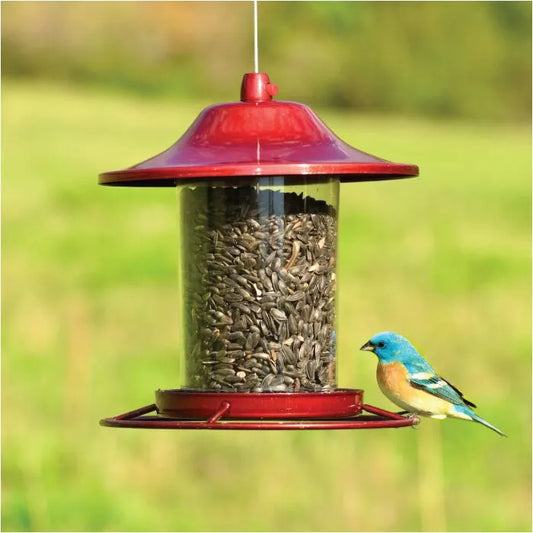 Perky-Pet Sparkle Panorama Feeder