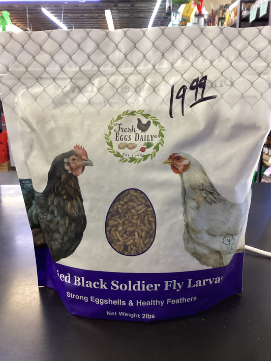 Dried Black Soldier Fly Larvae (mealworms) 2lbs