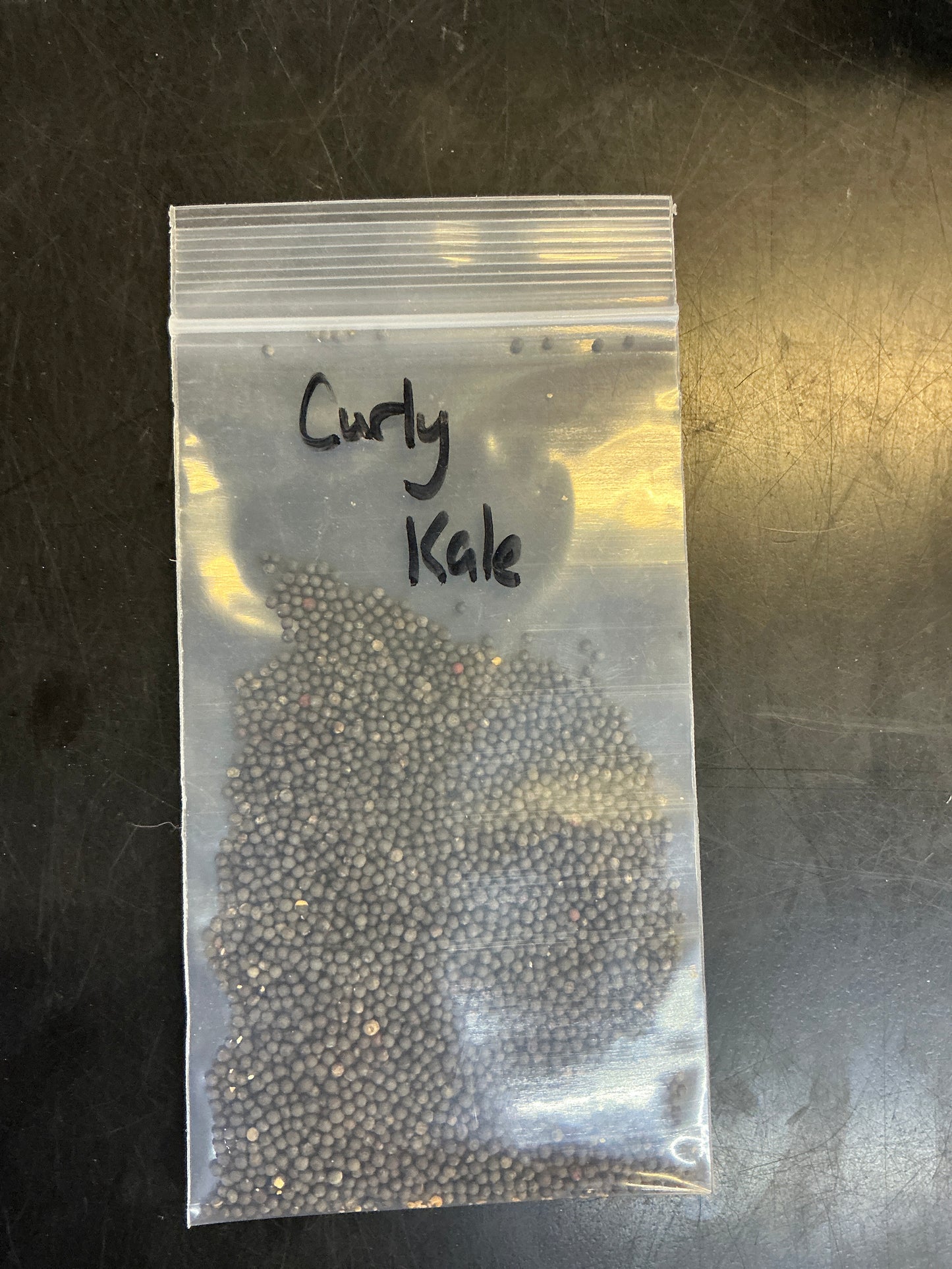 Curly Kale Seeds
