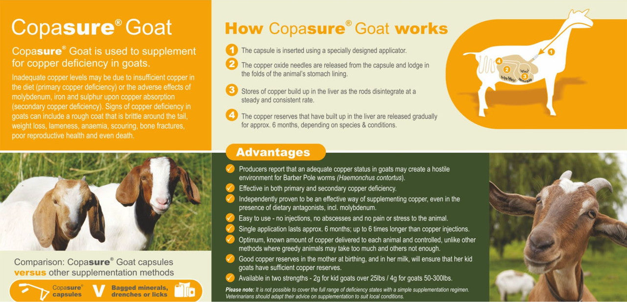 Animax Copasure Goat