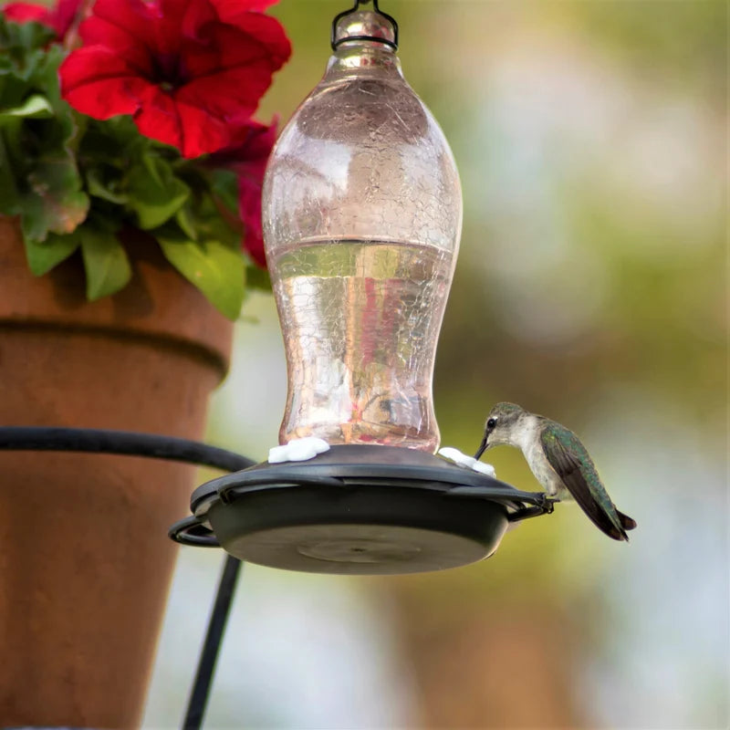 Nature’s Way Pink Artesian Hummingbird Feeder