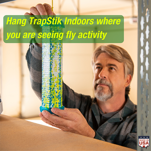 Indoor Fly TrapStik