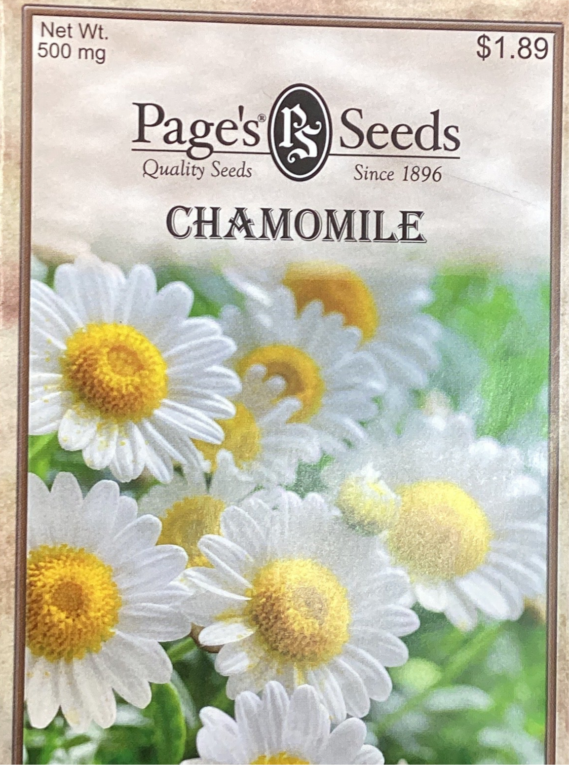 Chamomile