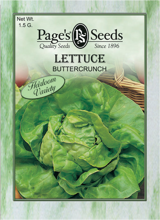 Lettuce