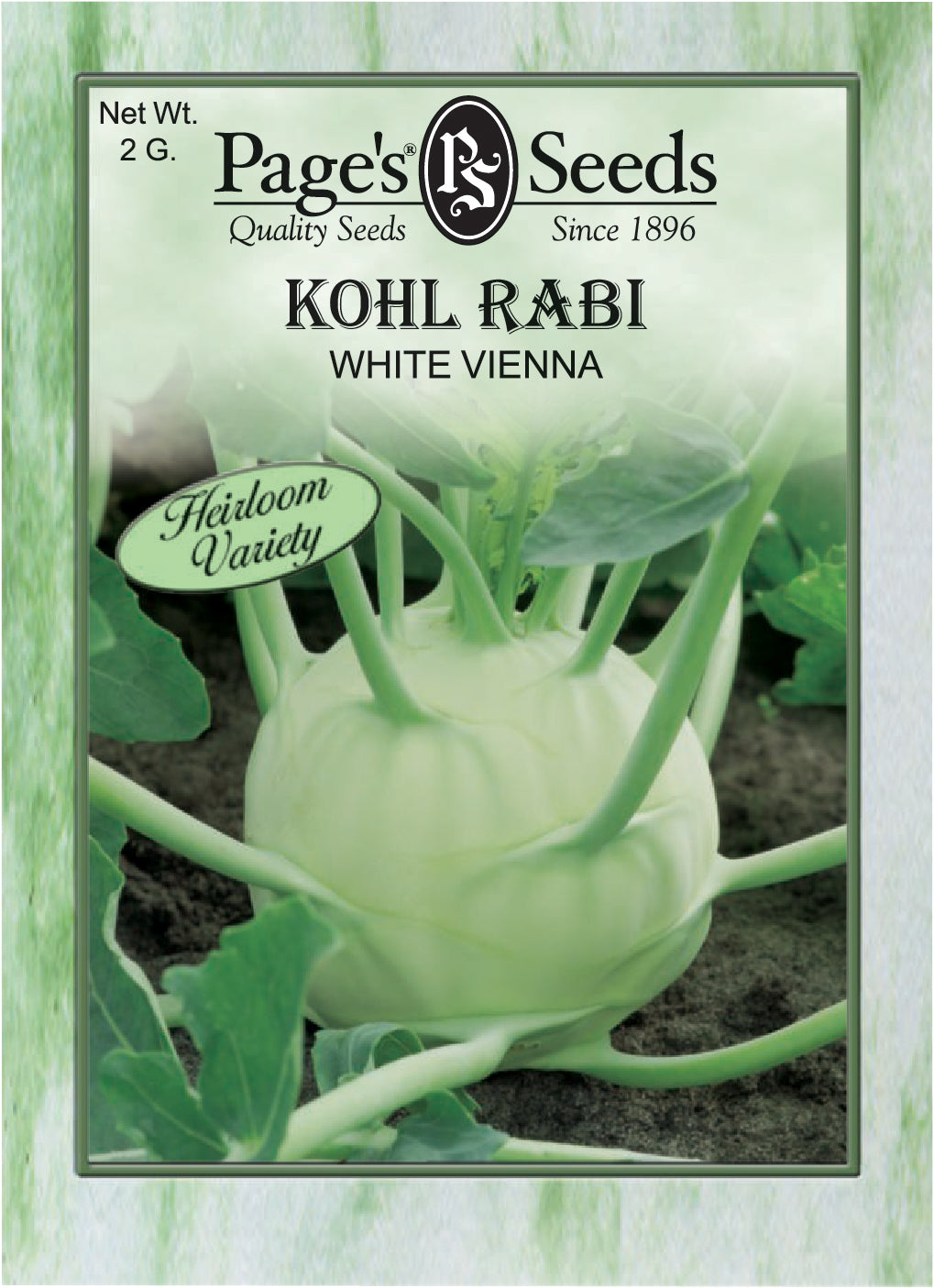 Kohl Rabi