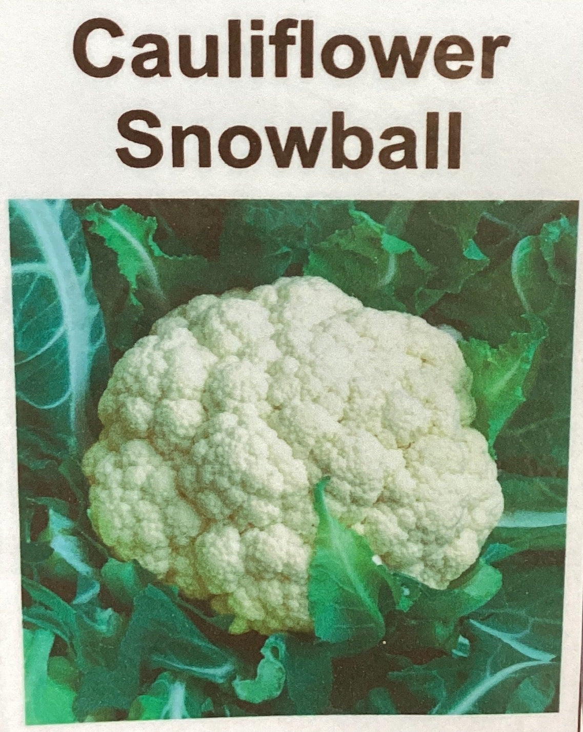 Snowball Cauliflower Seeds