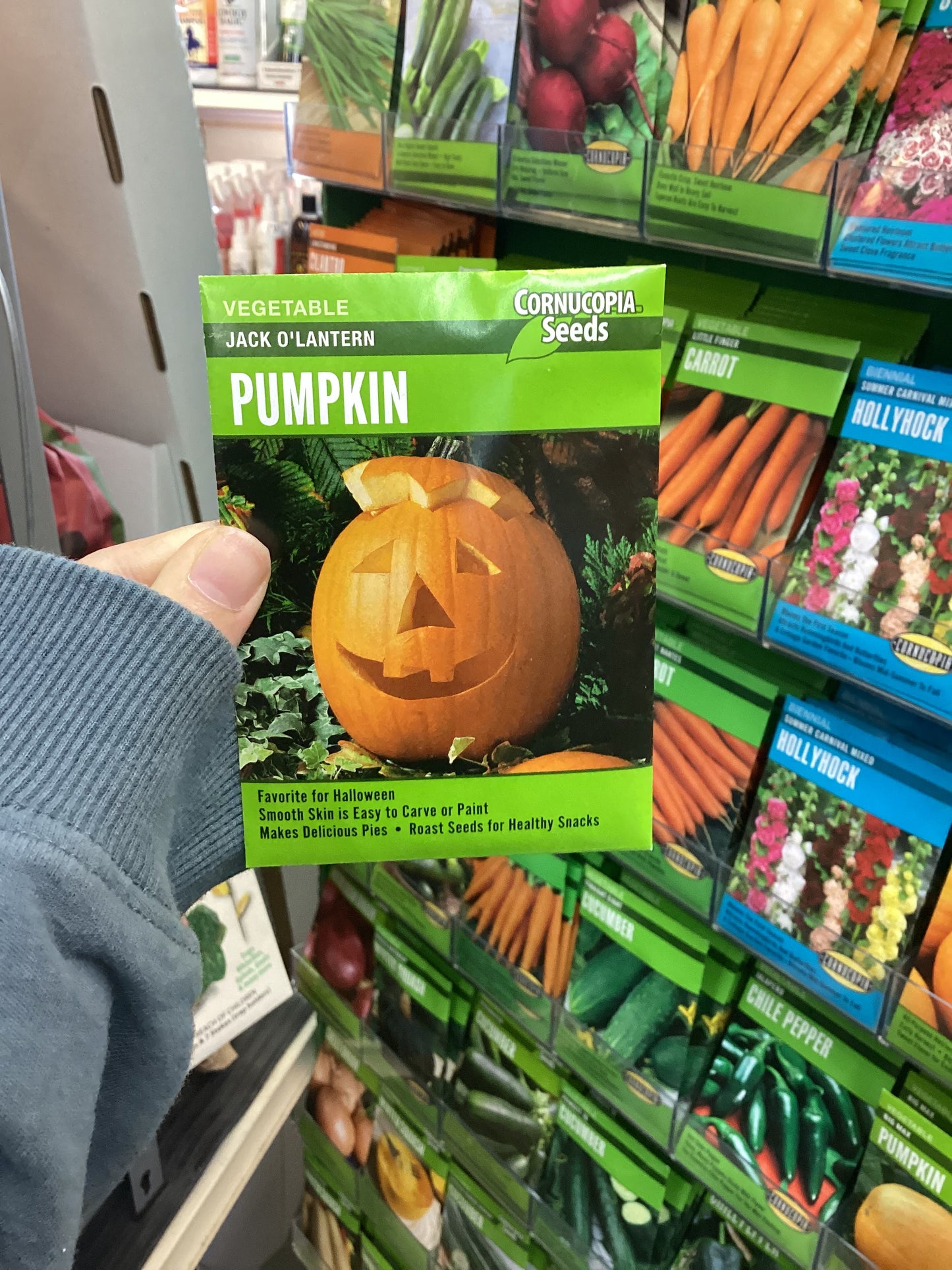 Calabaza Jack O'Lantern
