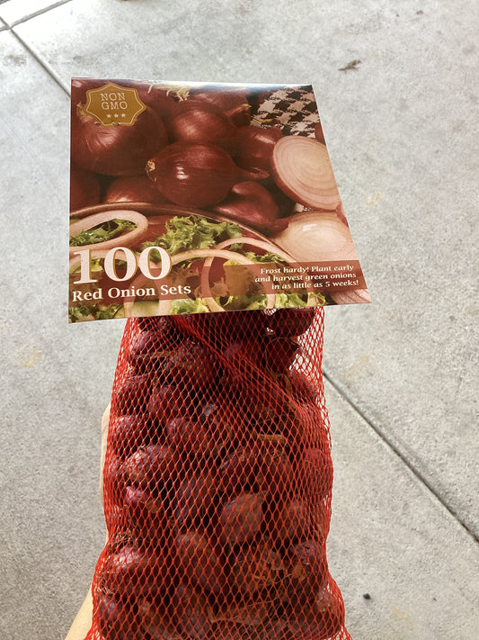 Red onion sets