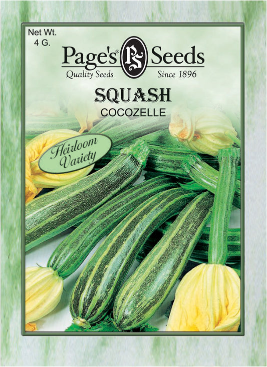 Squash