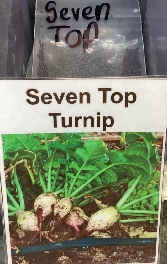 Seven Top Turnip Greens Seed