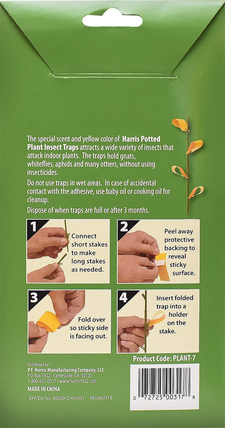 Potted Plant Insect Traps