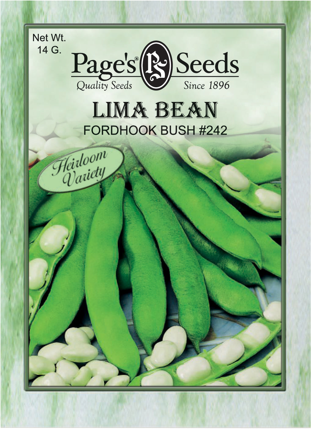 Lima Bean