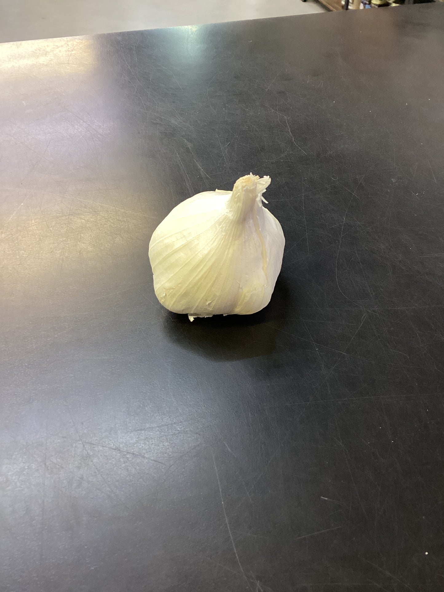 Garlic Bulbs