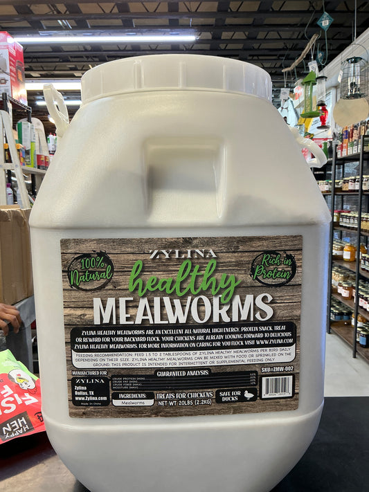 Zylina Healthy Mealworm 20lbs