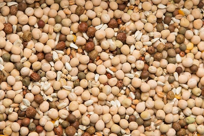 Purgain Breeder Conditioner 21% No Corn