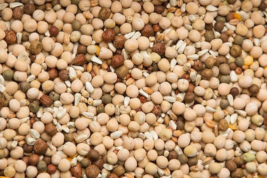 Purgain Breeder Conditioner 21% No Corn