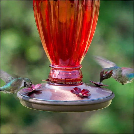 Perky-Pet Daisy Vase Vintage Glass Hummingbird Feeder