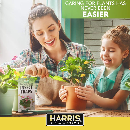 Potted Plant Insect Traps