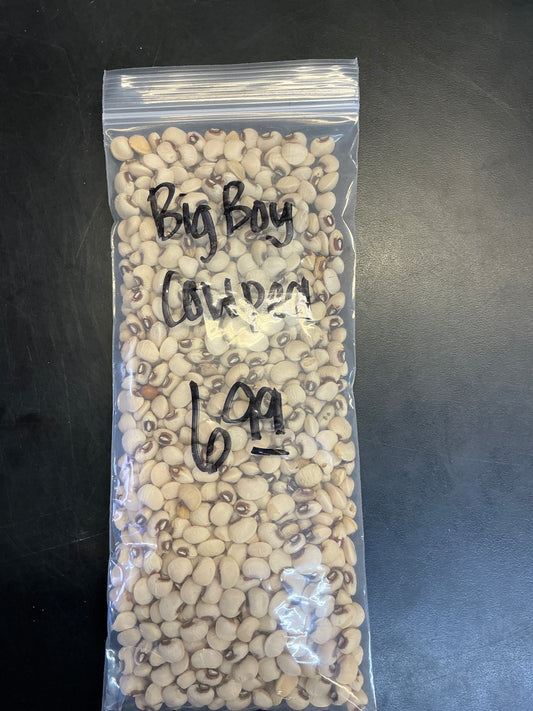 Big Boy Cowpea