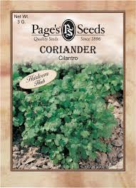 Coriander Cilantro
