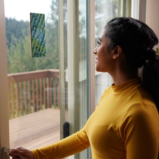 Rescue Sticky Fly Pad