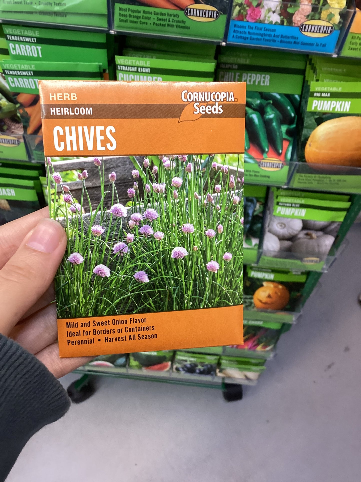 Heirloom Chives