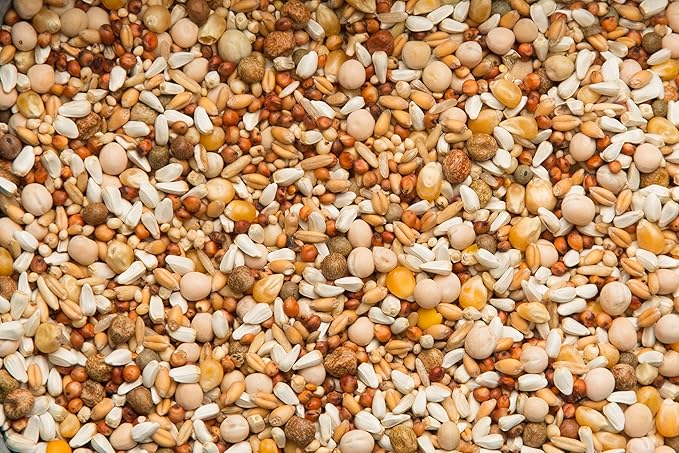 Purgrain Breeder Conditioner 16% POPCORN