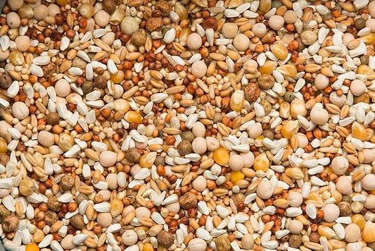 Purgrain Breeder Conditioner 16% POPCORN