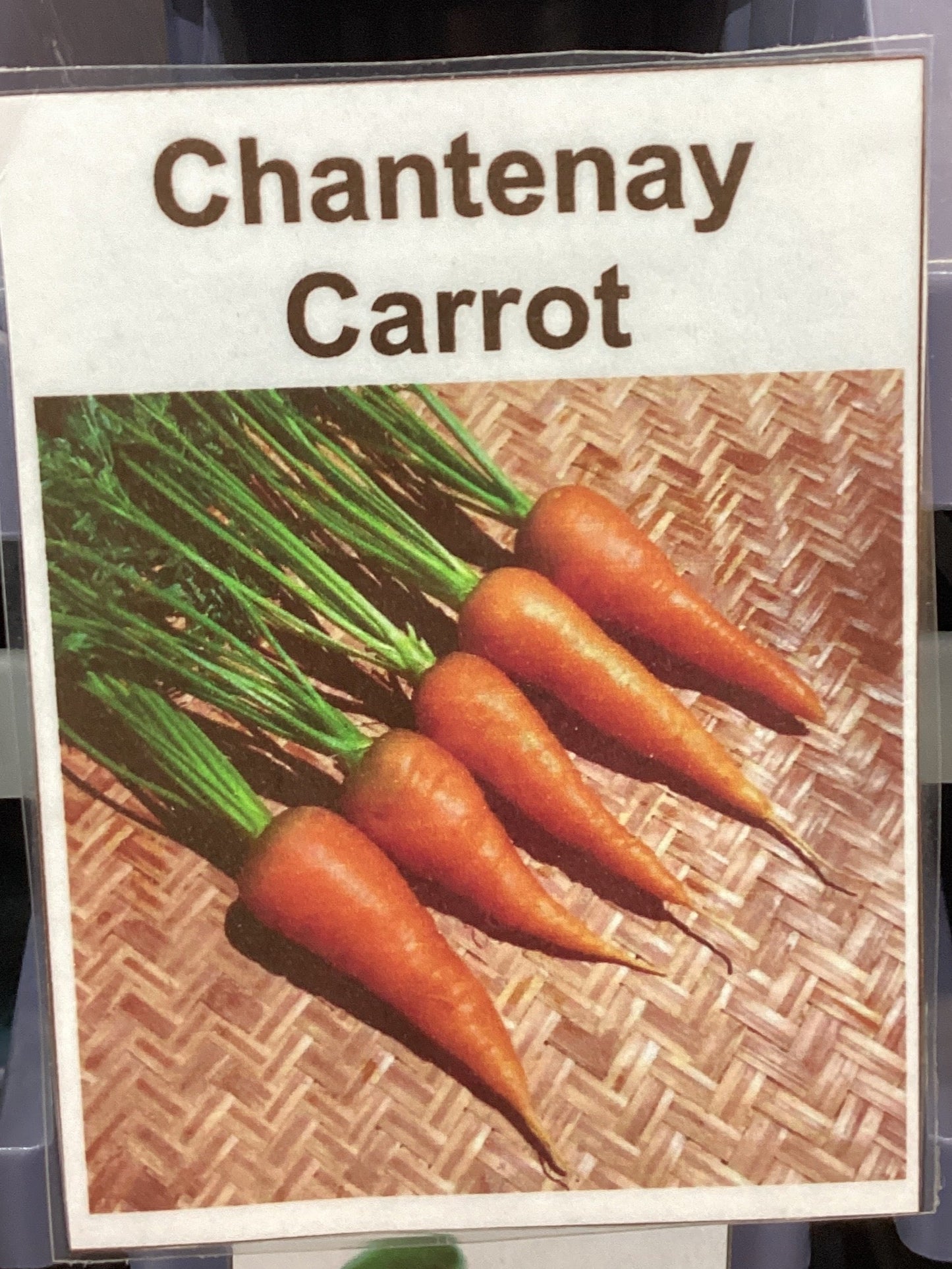 Chantenay Carrot Seeds