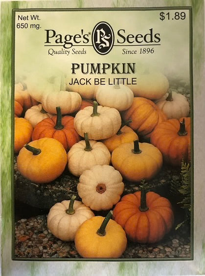 Pumpkin (small)
