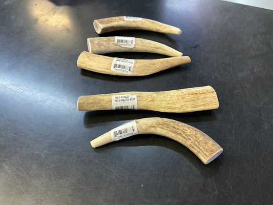 Elk Antler
