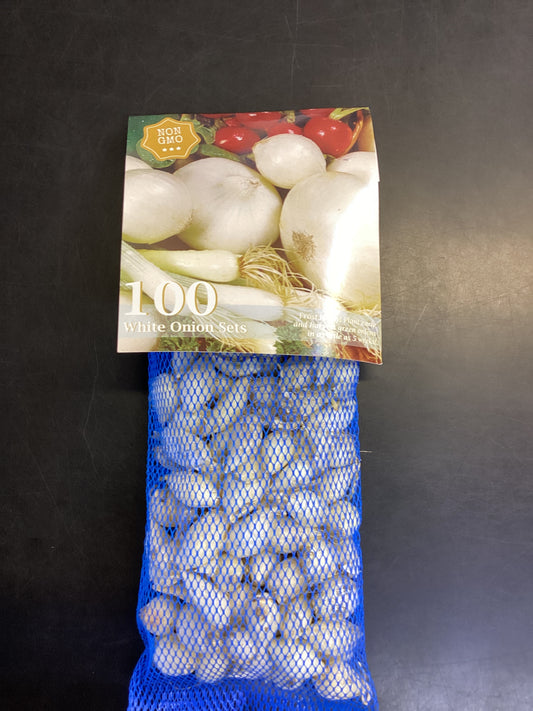 White onion sets