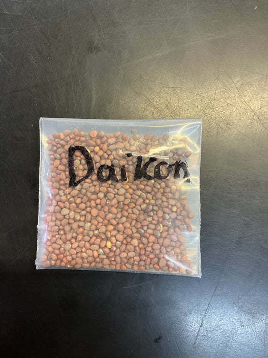 Daikon Radish Seed