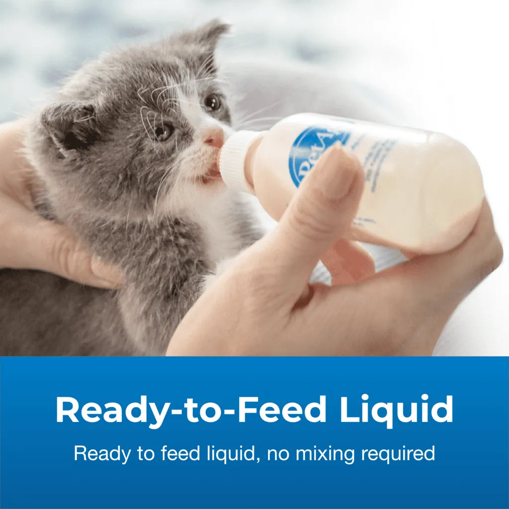 KMR Kitten Milk