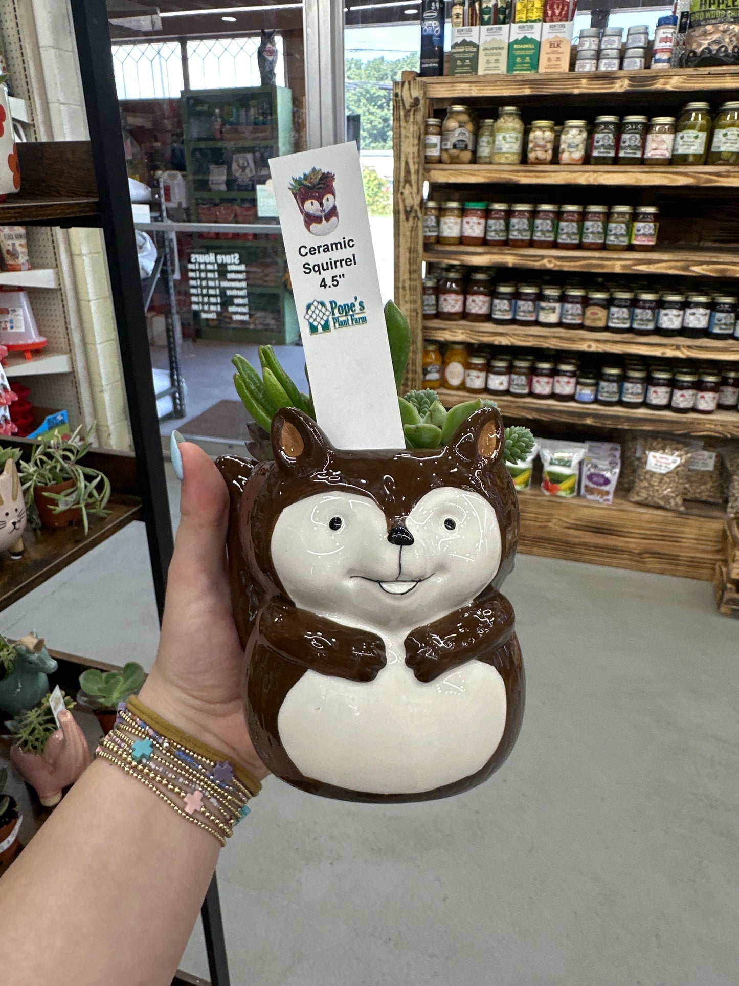 Ceramic Squirrel Succulent 4.5”