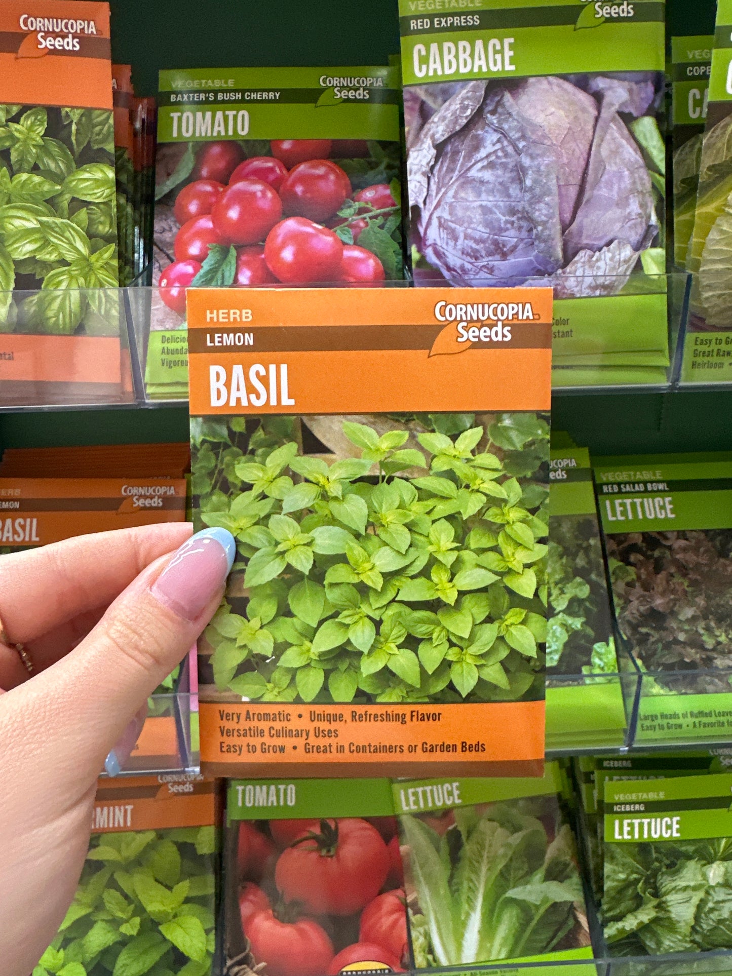Lemon Basil
