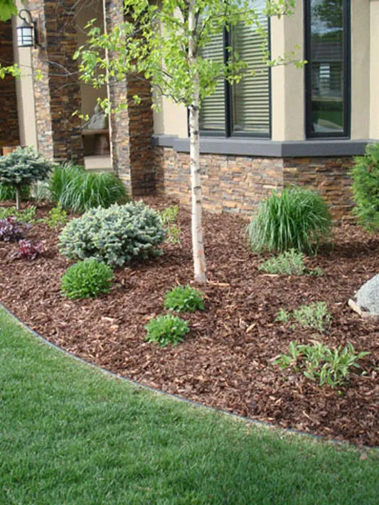 Pine Bark Mulch - Mini, Med, & Lg. Sizes
